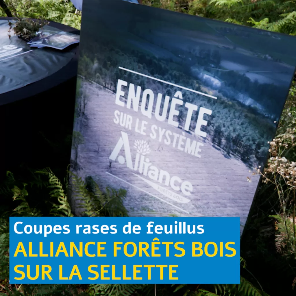 Une affiche titre "Enquête sur le système Alliance forêts bois" sur fond de paysage forestier avec coupe rase.