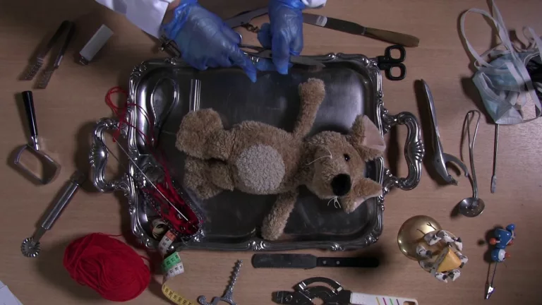 Une peluche de souris et posée sur un plateau d'argent, au centre d'une myriade d'instruments de couture et de cuisine. Au-dessus d'elle, une paire de main protégée de gants en plastique tient une paire de ciseaux.
