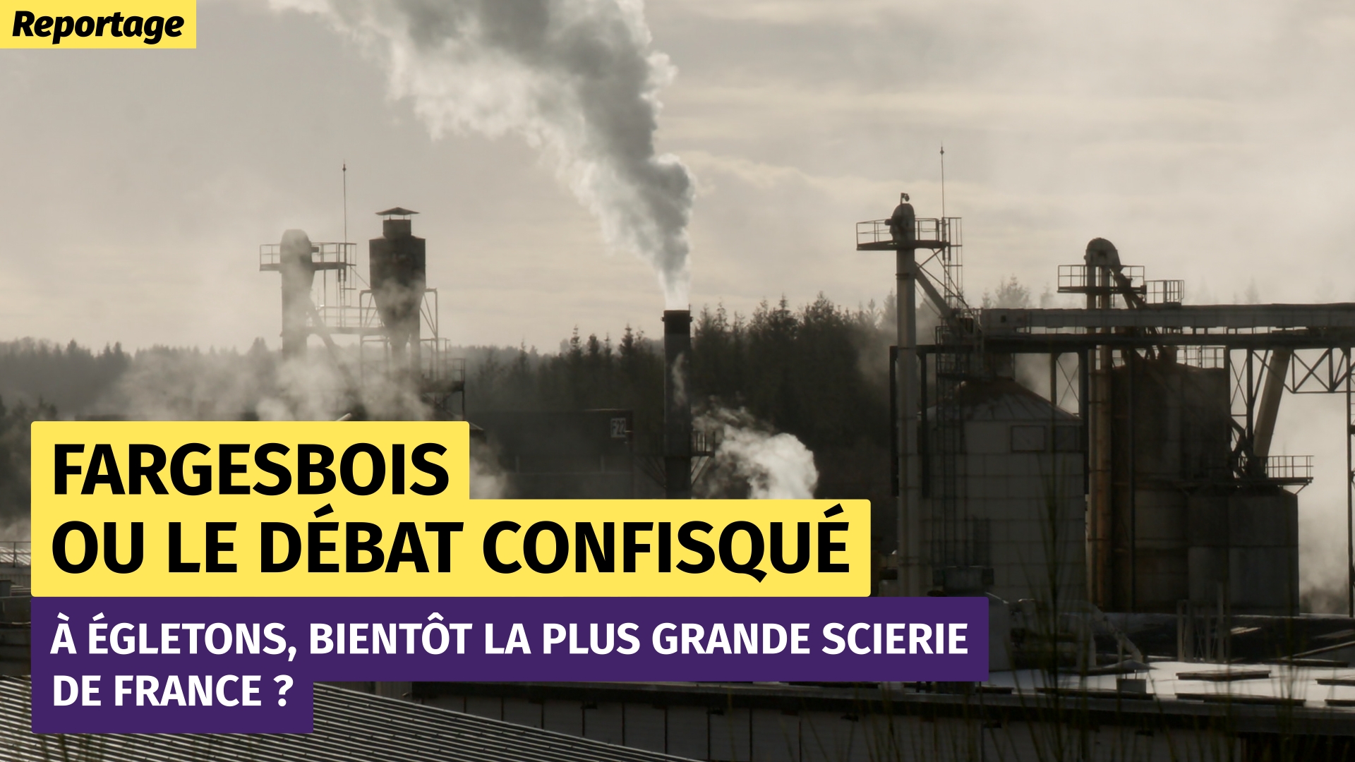 Usine avec cheminée fumante sur fond de forêt et de ciel gris, en contre-jour.