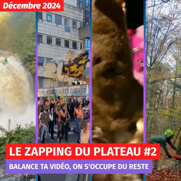 4 bandes verticales&nbsp;: une cascade, une manifestation avec un crapaud en bois, quelqu'un déguisé en nounours, un bûcheron