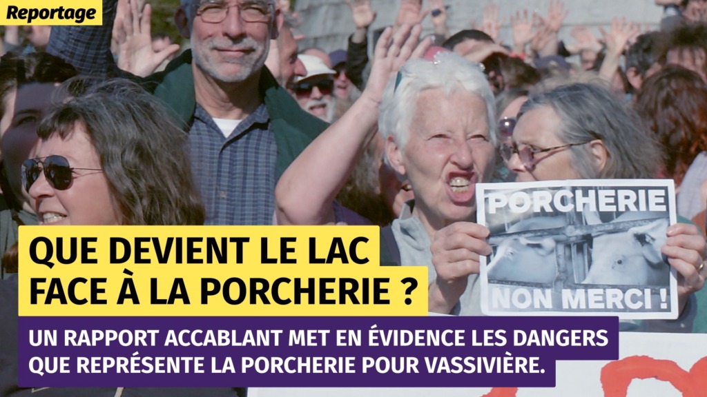 Une vieille dame se tient au milieu d'une foule de gens qui font des grimaces. Elle tient une pancarte sur laquelle on peut lire : « Porcherie, non merci ».